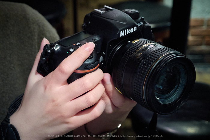 お写ん歩: Nikon AF-S DX NIKKOR 16-80mm f/2.8-4E ED VRアーカイブ